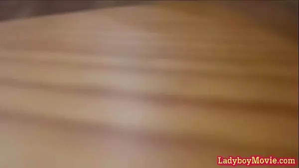 Ladyboy Porn Videos