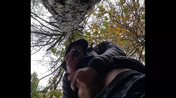 Porno Gay En El Bosque