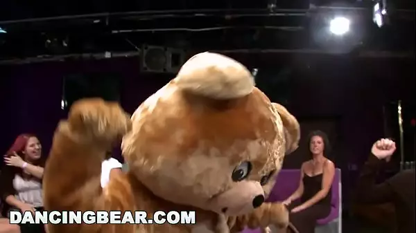 Dancing Bear 29