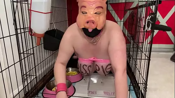 Fuckpig Porn Justafilthycunt Humillating Degradation Pig Meando Enjaulado Mear Bebiendo Y Comiendo De Tazones