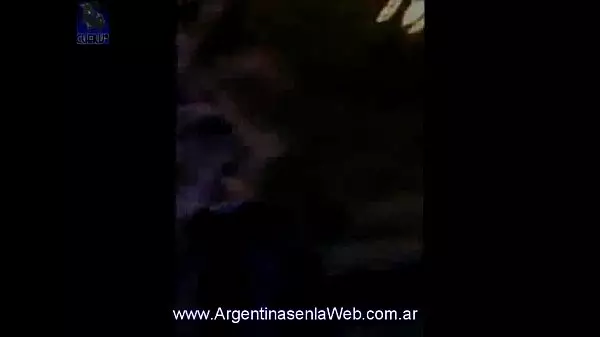Argentinasenlaweb