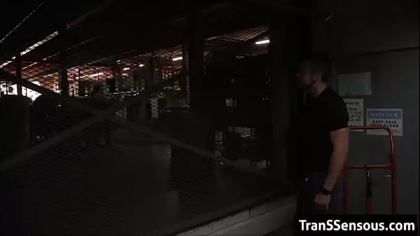 Vídeos Porno Trans