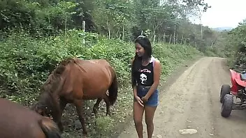 Horse Pprn