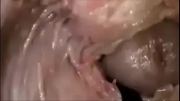 Perro Lamiendo Vagina