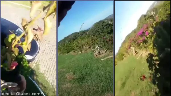 Atrapados Teniendo Relaciones Sexuales Al Aire Libre