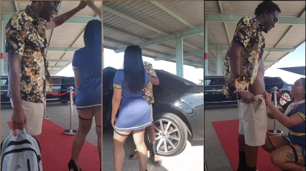 Daphanez, La Azafata, Manteniendo Relaciones Sexuales Con Un Hombre De Raza Negra En Pleno Vuelo